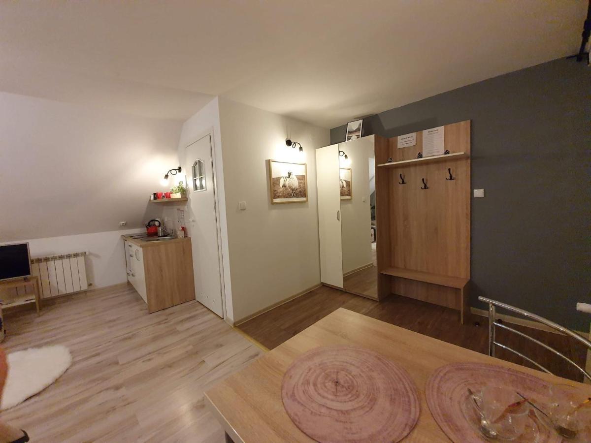 Apartament Jaskier 扎科帕内 外观 照片