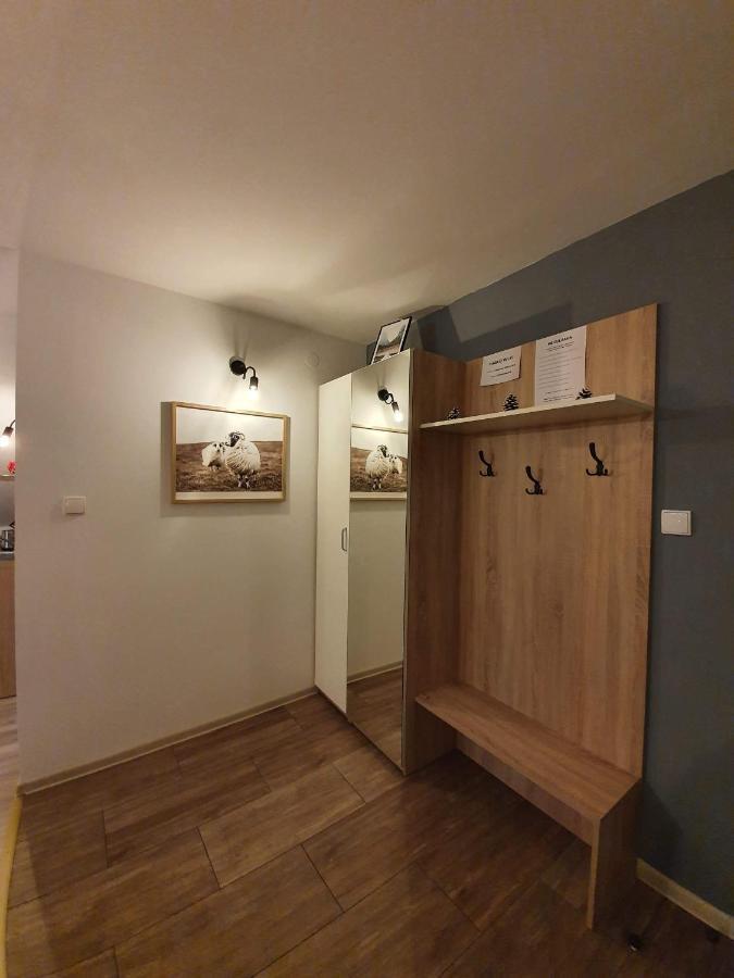 Apartament Jaskier 扎科帕内 外观 照片