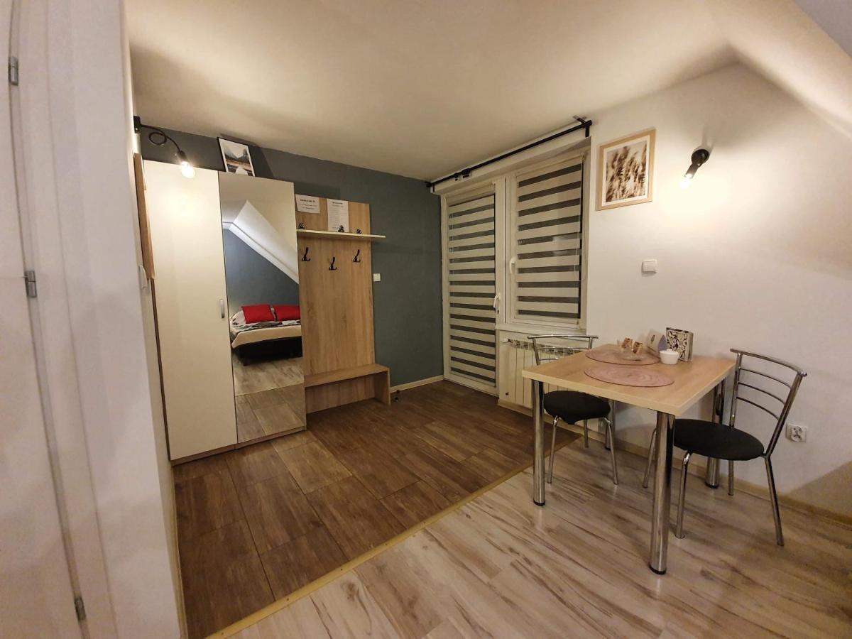 Apartament Jaskier 扎科帕内 外观 照片